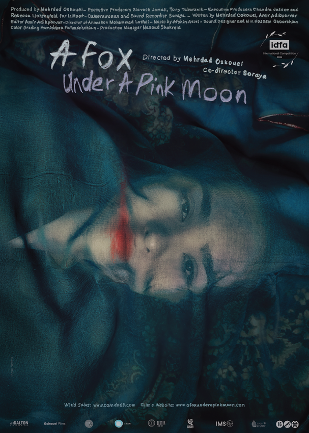HotDoc: A Fox Under a Pink Moon
